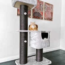 158cm Playground Condo Cat Tree